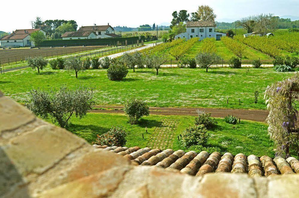 La Fornasaccia Bed & Breakfast Cesena Exterior photo